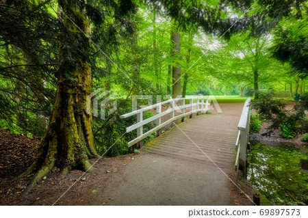 Bridge in a park. Bridge in a park. 69897573