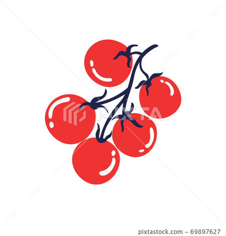 Ripe tomatoes on a branch. Hand drawn vector illustration Ripe tomatoes on a branch. Hand drawn vector illustration 69897627