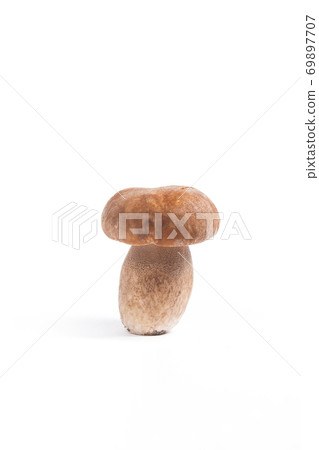 Single Porcini mushroom known as boletus edulis isolated on white background. 69897707