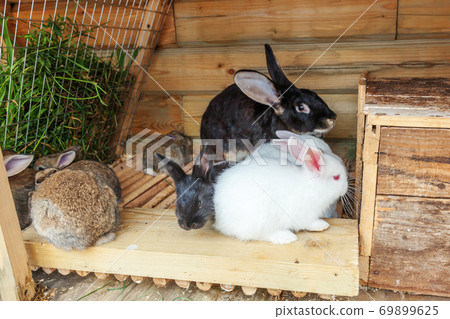 eco rabbit hutch