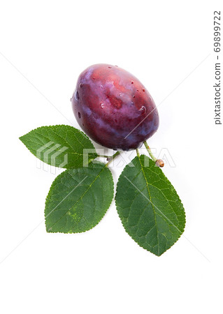 Ripe plum with water drops and green leaf  isolated on white background.. 69899722