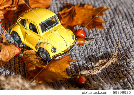 Autumnal Background. Yelllow toy car and dried orange fall maple leaves on grey knitted sweater. Thanksgiving banner copy space. Hygge mood cold weather delivery concept. Hello Autumn travel. 69899920