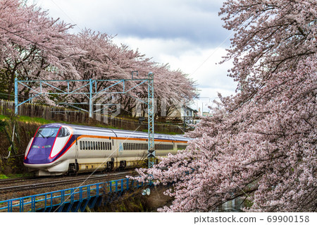 山形縣山形市Ka路公園和山形新幹線的櫻花 山形縣山形市Ka路公園和山形新幹線的櫻花 69900158