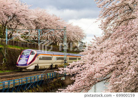 山形縣山形市Ka路公園和山形新幹線的櫻花 山形縣山形市Ka路公園和山形新幹線的櫻花 69900159