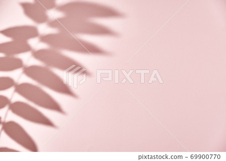 Leaf shadow on pink background. Creative abstract background 69900770