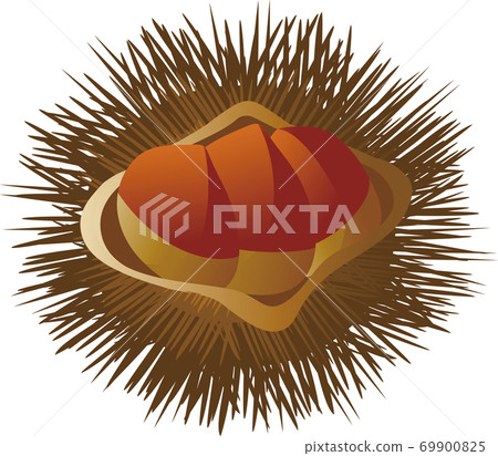 庫裡伊賀栗子插圖素材 庫裡伊賀栗子插圖素材 69900825