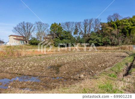 Rice paddy field in winter, Kanazawa, Ishikawa Prefecture, Western Japan. 69901228