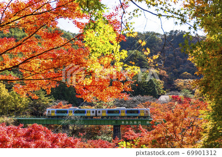Train on the Suigun Line that crosses the autumn leaves and the railway bridge Yamatsuri Town, Fukushima Prefecture Train on the Suigun Line that crosses the autumn leaves and the railway bridge Yamatsuri Town, Fukushima Prefecture 69901312
