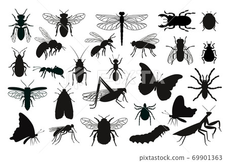 Insects silhouettes set 69901363