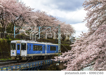 Sakura and Aterazawa Line trains in Kajo Park Yamagata City, Yamagata Prefecture Sakura and Aterazawa Line trains in Kajo Park Yamagata City, Yamagata Prefecture 69901560