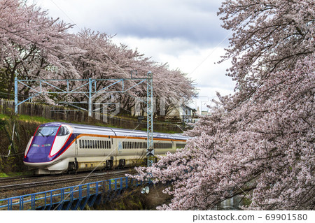 山形縣山形市Ka路公園和山形新幹線的櫻花 山形縣山形市Ka路公園和山形新幹線的櫻花 69901580
