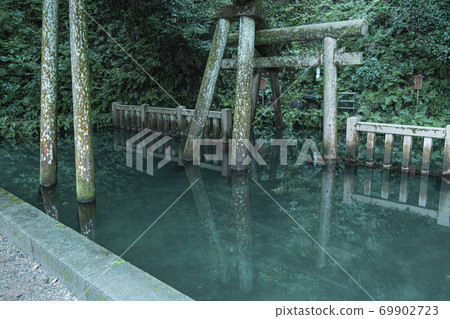 鹿島神社御手洗池塘 69902723