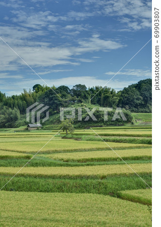 Rural landscape Rural landscape 69903807