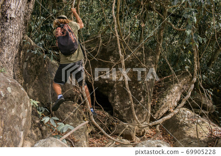 tourist walks through the woods tourist walks through the woods 69905228