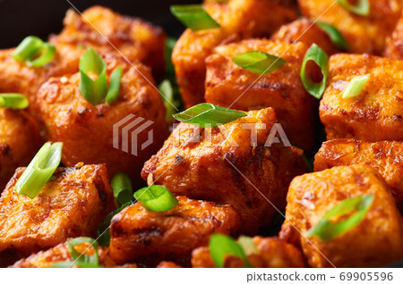 Paneer Manchurian or Paneer 65 close up Paneer Manchurian or Paneer 65 close up 69905596