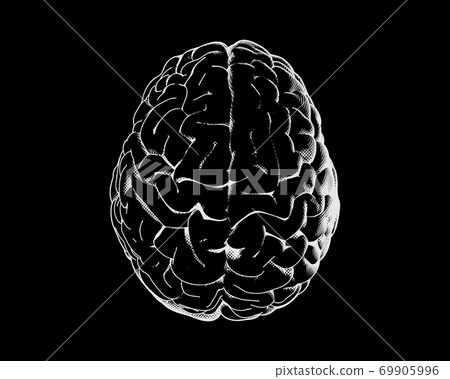 Engraving top view brain illustration on dark BG - Stock Illustration ...