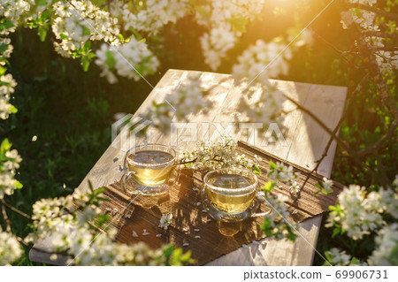 Two beautiful glass cups with green tea decorated with white cherry flowers on wooden table in spring garden in setting sun light. Two beautiful glass cups with green tea decorated with white cherry flowers on wooden table in spring garden in setting sun light. 69906731