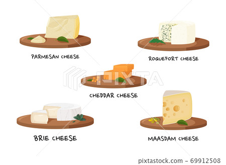 Various types of cheese. Realistic meal vector collection. 69912508