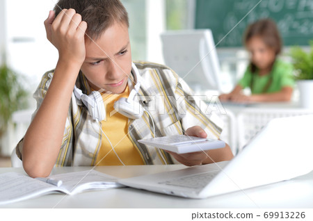 Portrait of boy using modern laptop at home 69913226