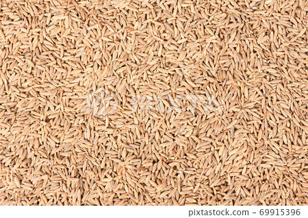 Cumin or zira isolated on white background. Top view. 69915396