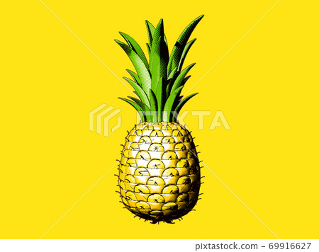 Colorful engraving pineapple illustration on yellow BG Colorful engraving pineapple illustration on yellow BG 69916627