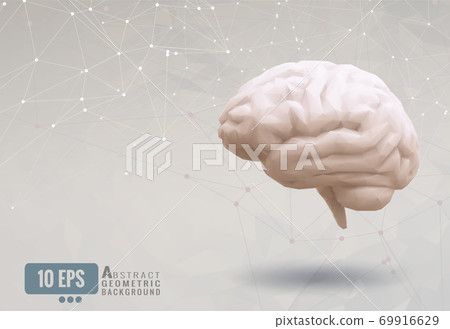 Vector low poly brain on abstract geometric BG 69916629