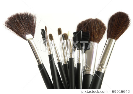 Cosmetic Brushes 69916643
