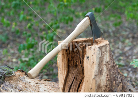 axe stuck into wooden tree stump, forest axe stuck into wooden tree stump, forest 69917025