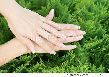 Take care of your hands. Female hands with french Take care of your hands. Female hands with french 69917052