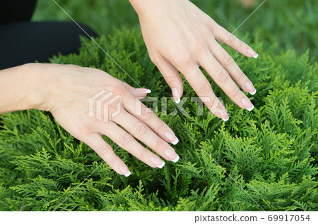 Female hands with perfectly groomed nails on natural  69917054