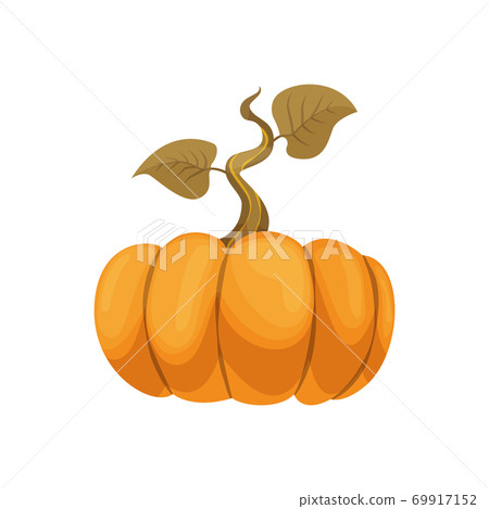 Cartoon pumpkin icon. Orange and yellow autumn pumpkin. Large gourd vegetable. Farm harvest vegetable fresh and tasty Cartoon pumpkin icon. Orange and yellow autumn pumpkin. Large gourd vegetable. Farm harvest vegetable fresh and tasty 69917152