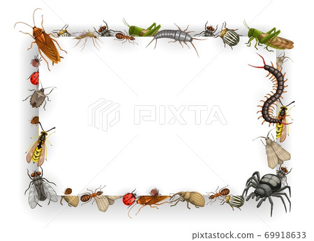 Frame with insects cartoon vector parasites border Frame with insects cartoon vector parasites border 69918633
