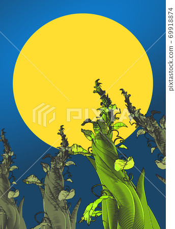 Beanstalk drawing illustration isolated on moon sky BG Beanstalk drawing illustration isolated on moon sky BG 69918874