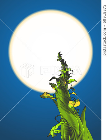 Beanstalk drawing illustration isolated on moon sky BG Beanstalk drawing illustration isolated on moon sky BG 69918875