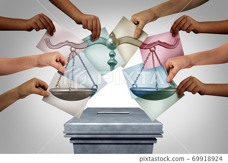 Election Law 69918924