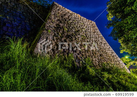 Marugame Castle Marugame Castle 69919599