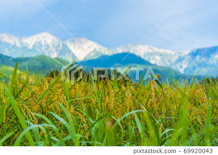 稻荷和白馬美山 69920043