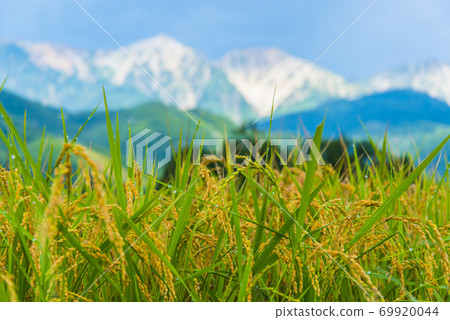 稻荷和白馬美山 69920044