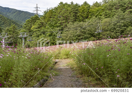 宇宙盛開在滑雪勝地 69920831