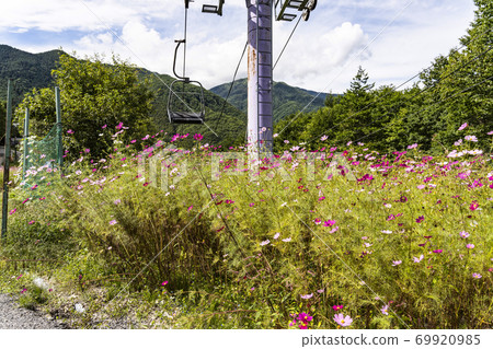 宇宙盛開在滑雪勝地 宇宙盛開在滑雪勝地 69920985