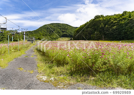 宇宙盛開在滑雪勝地 69920989