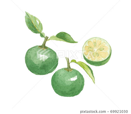 Yuko Yuzu citrus fruit and cross section 69921030