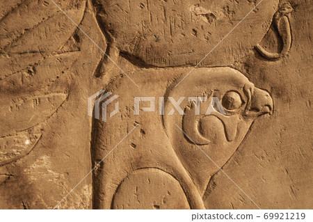 Hawk head at the Kom Ombo temple in Egypt 69921219