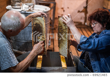 Hand using a scraper to clog honeycombs with honey in a frame. Beekeeper Unseal Honeycomb. 69921465