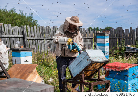 Beekeeper uses air-blowing device to brush bees aside. Bees swarm in collection container. Beekeeper handles receptacle with queen bee Beekeeper uses air-blowing device to brush bees aside. Bees swarm in collection container. Beekeeper handles receptacle with queen bee 69921469