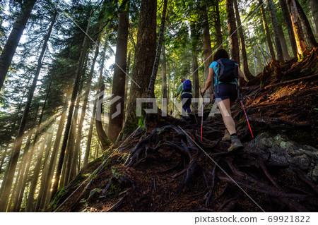Girl Outdoor Hiking on a Trail in the Woods 69921822