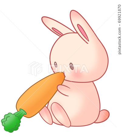 兔子和胡蘿蔔 69921870