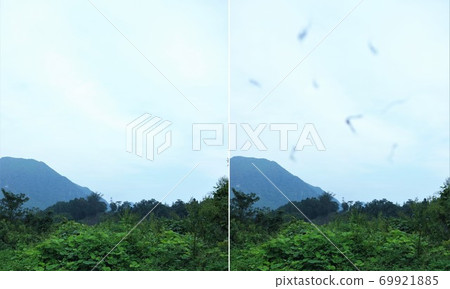 Image of floater Image of floater 69921885