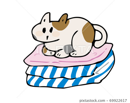 貓坐在衣服上 69922617