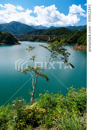 A lonely tree with the Lake Miyagase in the background in Kanagawa prefecture, Japan 69922841